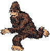 Avatar de l'utilisateur