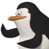Avatar de l'utilisateur